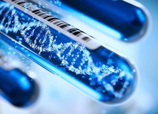 THE NATIONAL CANCER INSTITUTE REGINA ELENA, IN COLLABORATION WITH EUROFINS GENOMA GROUP LABORATORIES, SHOWS HOW LIQUID BIOPSY IN COLON CANCER CAN PROVIDE COMPLEMENTARY ANSWERS TO THOSE OF OTHER BIOLOGICAL TESTS AND IMPROVE THE CURRENT DIAGNOSTIC STRATEGIES.